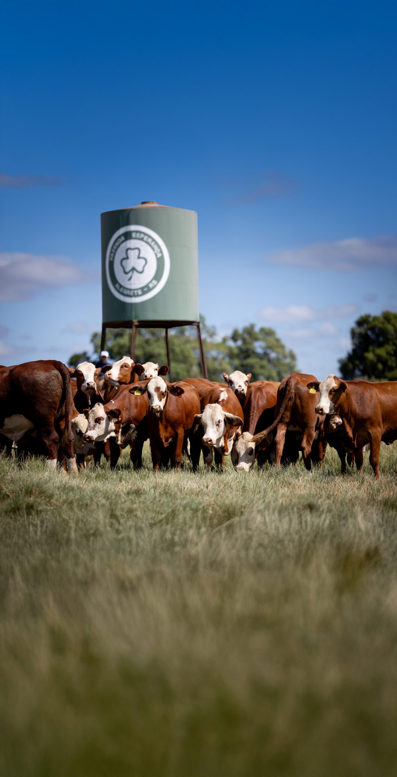 Fazenda Esperança-0976